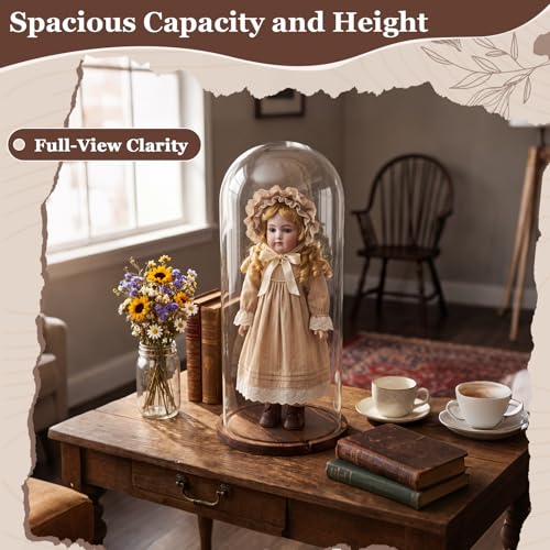 22'' x 8.66'' Glass Dome Cloche Display with Dark Wood Base – Tall Clear Cover for Decor & Collection