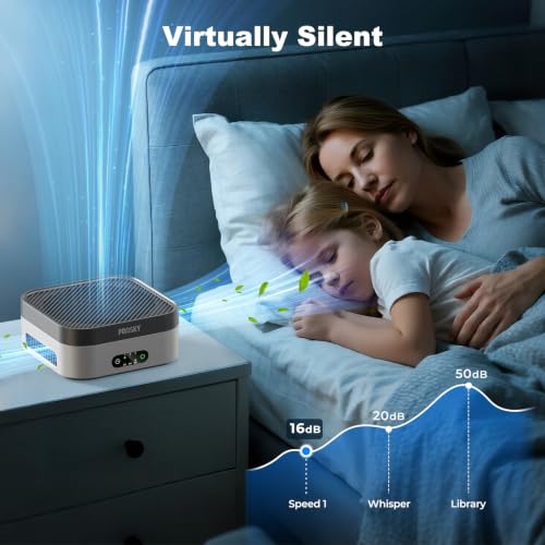 Prasky White Gray Air Purifier with 2 Filters, Quiet HEPA Car & Home Room Air Cleaner