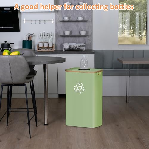iEGrow 110L Green Recycling Bin with Lid, 29 Gallon, Foldable & Removable Bags
