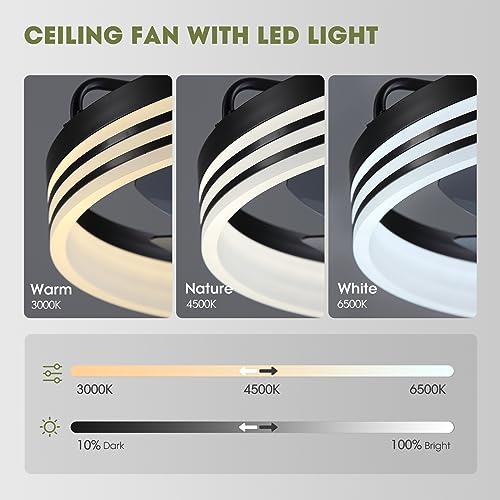 LUDOMIDE 20-inch Black Ceiling Fan with Light, 6-Speed Reversible Low Profile Fan for Bedroom & Living Room - Variation Black-1105
