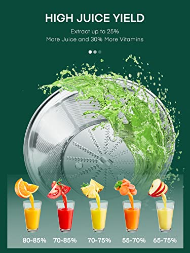 HOUSNAT Silver Juicer Machine for Whole Fruits & Vegetables, 3 Speeds