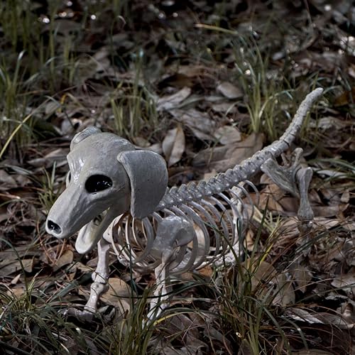 24-Inch Poseable Halloween Dog Skeleton Prop for Indoor Outdoor Decor