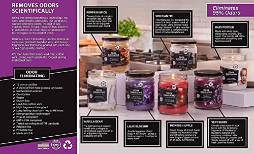 Vanilla Scented Odor Eliminating Candle Set - 2 Pack, 80 Hour Soy Blend