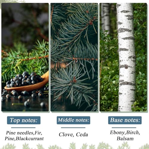 Bornerwhite 24 Pcs Dusty Blue Velvet Christmas Balls 3.15 Inch Flocked Holiday Ornaments