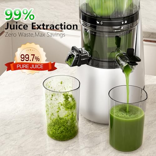 Cold Press Juicer Machine with 6-Inch Wide Feed Chute - Silver - Powerful Brushless Motor, Self-Precut System, BPA-Free Parts, Extra Strainer