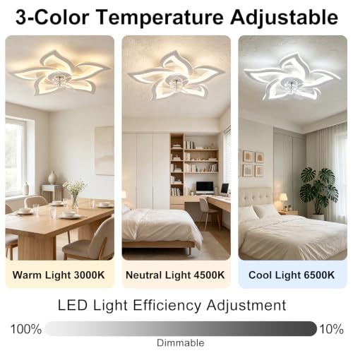 Ruibutrade 24'' White Flower Ceiling Fan with Lights Remote Control, Dimmable LED, 6 Speeds