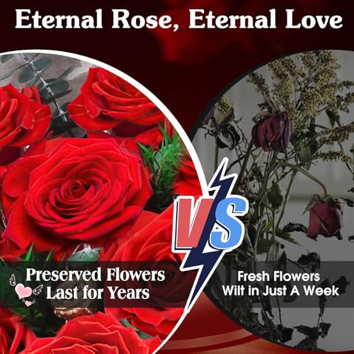 Preserved Red Roses Bouquet - 24 Long-Lasting Romantic Flowers - Ideal Anniversary & Gift for Women, Wife, Girlfriend