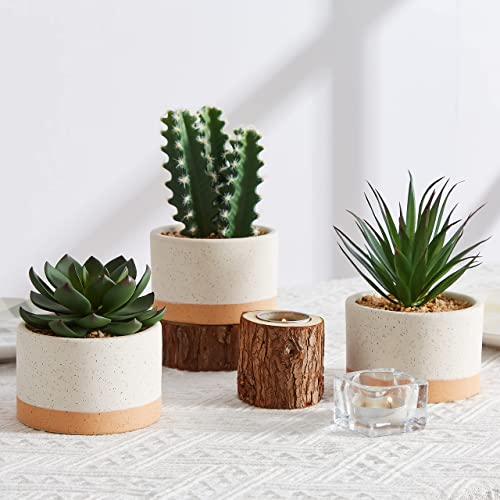 ASTRIDIA Artificial Succulent Plants Set of 3 in Burlywood Ceramic Pots