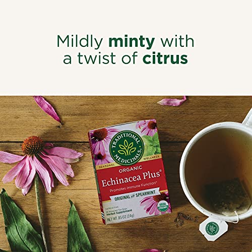 Traditional Medicinals Organic Echinacea Plus Spearmint Tea - 96 Bags, Pack of 6