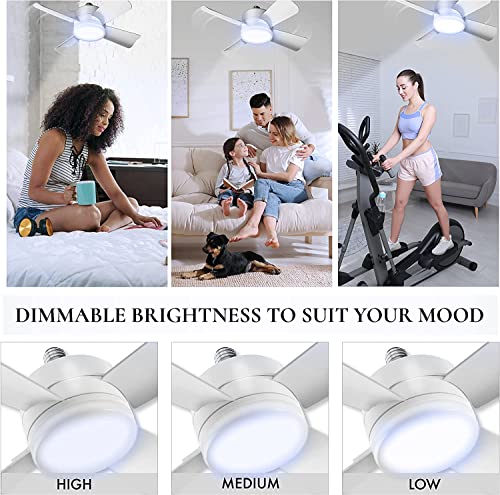 White 10-Inch Ceiling Fan with LED Light and Remote - Modern Fan for Bedroom & Living Room