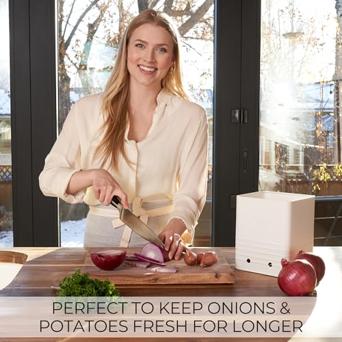 Cream Metal Potato and Onion Storage Container Set - Food Safe Kitchen Bins