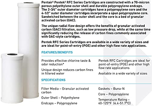 10-Inch Big Blue Radial Flow Carbon Water Filter Pack of 1 - 50,000 Gallon Capacity