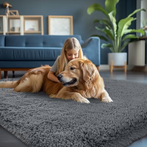 Grey Fluffy Area Rug 5x7 Feet Shag Bedroom Carpet Non-Slip Dorm Decor