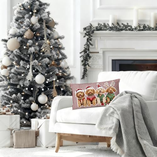DAYOUER Christmas Goldendoodle Pillow Cover 12x20 Multicolor 01, 18x18 Accent