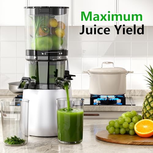 Cold Press Juicer Machine with 6-Inch Wide Feed Chute - Silver - Powerful Brushless Motor, Self-Precut System, BPA-Free Parts, Extra Strainer