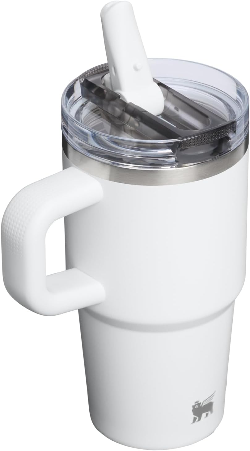 STANLEY Quencher ProTour 20 oz Tumbler - Leakproof Lid, Built-In Straw & Handle | Insulated Stainless Steel | BPA-Free | Frost