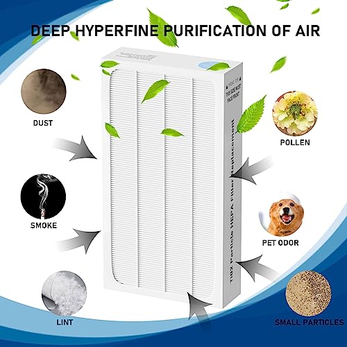 Fizerneer 2 Pack Tio2 HEPA Filter Replacement for Electrolux Aerus Lux Guardian Air Purifier
