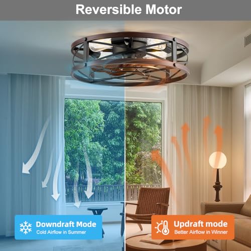 SHLUCE Black & Brown 20 Inch Caged Ceiling Fan with Light & Remote