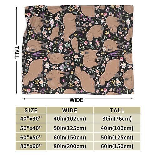 Capybara Blanket Capybara Gifts Animal Lover Capybara Plush Birthday Decoration for Girls Boys Kids Blanket for Bedroom Couch Sofa Bedroom Camping Travel Women Men, 40"x50"