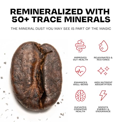 Danger Coffee Medium Roast Ground Mold-Free Coffee 10.9 oz - SCA Grade, Clean & Pure