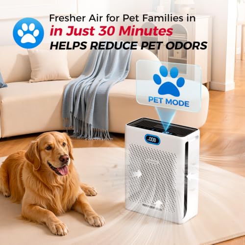 Purivortex HEPA Air Purifier for Large Rooms with Pet Mode - White