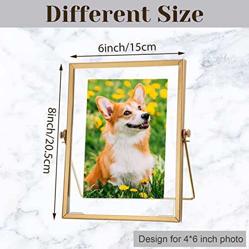 Hoteam Gold 4x6 Inch Floating Photo Frames Set of 12 - Elegant Metal Glass Display