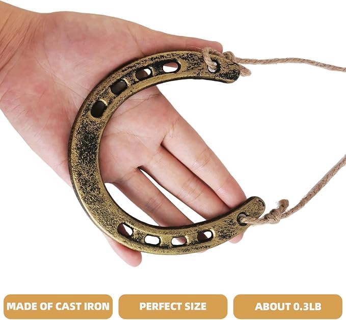 Cast Iron Horseshoe Wall Decor Lucky Horse Shoe Ornament Rustic Home Accent