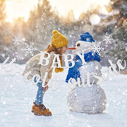 Silver Baby It's Cold Outside Banner and Snowflake Banner Garland, Winter Wonderland Baby Shower Party Decorations