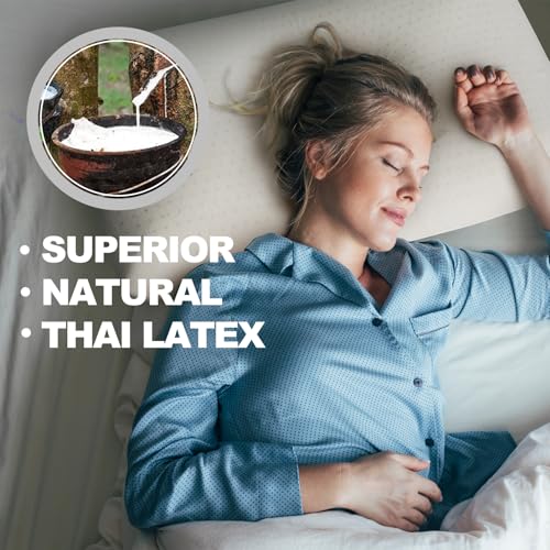 Queen Talalay Latex Pillow - Luxury Soft Natural Foam Bed Pillow for Side, Back & Stomach Sleepers - Breathable Cover (Mid Loft)