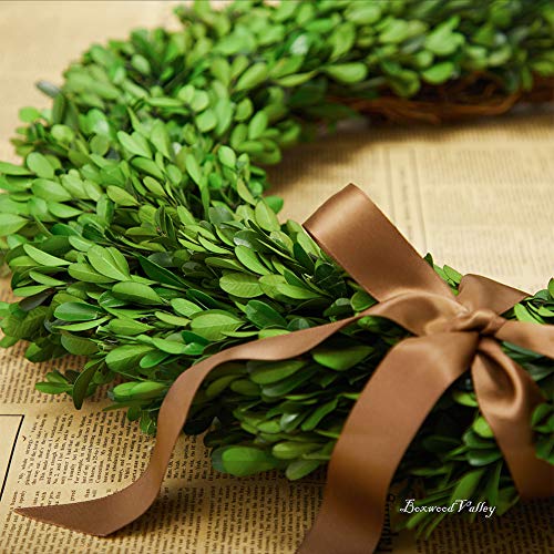 Boxwood Wreath X-Large 22 Inch Preserved Natural Green Home Decor Stay Fresh