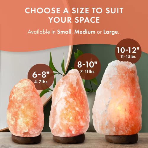 Large 8-10 Inch Himalayan Salt Lamp with Dimmer - Pink Rock Night Light & Wooden Base