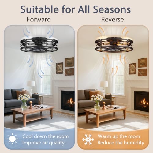 20-Inch Black Caged Ceiling Fan with Light and Remote - Farmhouse Low Profile