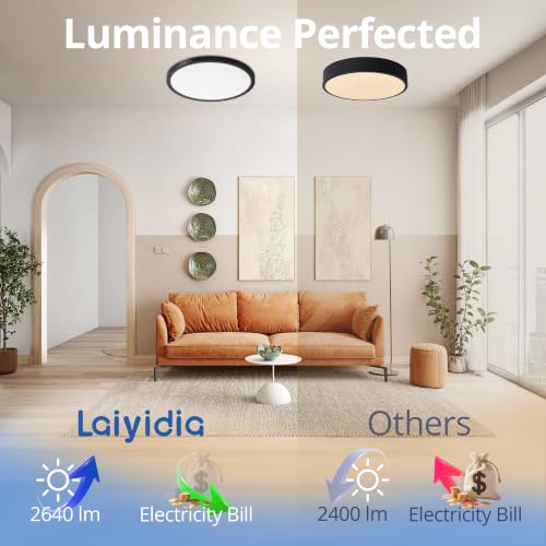 Black 12-inch Ultra-Thin Dimmable LED Ceiling Light, 5CCT, Flush Mount