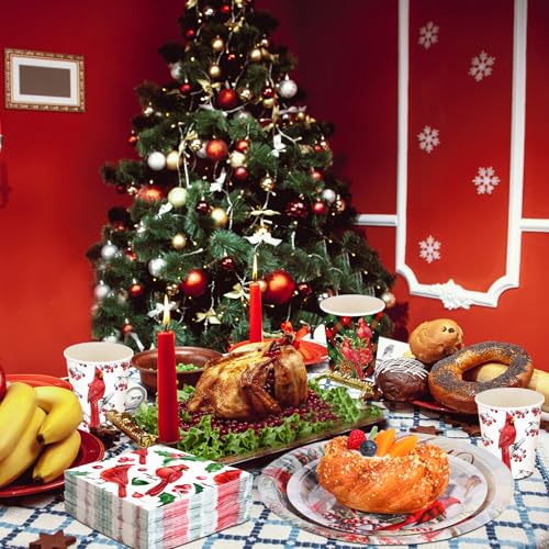 Christmas Disposable Dinnerware Set for 50 Guests with Plates Cups & Cutlery