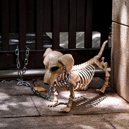 24-Inch Poseable Halloween Dog Skeleton Prop for Indoor Outdoor Decor