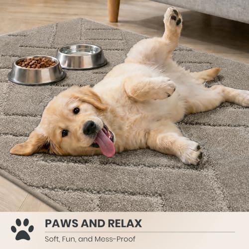 Indoor Entrance Door Mat - Dirt Trapping, Taupe, 32x47 Inches - Low Profile, Non-Slip, Pet Friendly