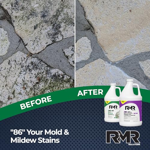 RMR Brands DIY Mold Remover Bundle - 2 Gallon Disinfectant Spray Kit - Mold & Mildew Killer