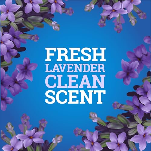 Pine-Sol CloroxPro Lavender Multi-Surface Cleaner 80 fl oz Pack of 3