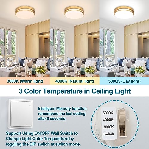 Gold 13 Inch LED Flush Mount Ceiling Light Fixture 20W with Dimmable 3-Color Temp