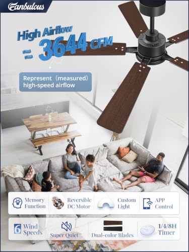 Black 52 Inch Ceiling Fan with Lights & Remote Control - DC Motor & APP