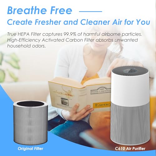 Replacement Air Purifier Filter Set for Winix C610 - 3-in-1 H13 HEPA & Activated Carbon - 2 Pack