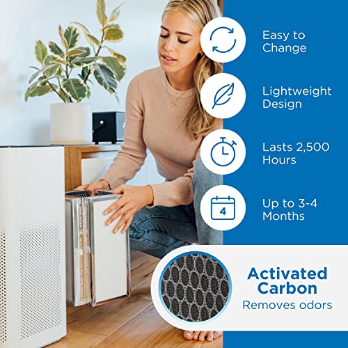 Medify MA-50 Replacement Air Filter 3-in-1 HEPA Carbon for Allergens Smoke Odors - 1 Pack (Variation 1)