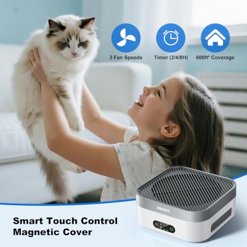 Prasky White Gray Air Purifier with 2 Filters, Quiet HEPA Car & Home Room Air Cleaner