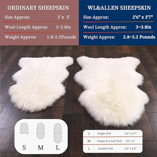 Large Sheepskin Rug - 2'6 x 3'7 Ivory White Thick Wool Area Rug, Australian Pelts