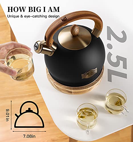 Black 2.64 Quart Stovetop Whistling Tea Kettle - Food-Grade Stainless Steel