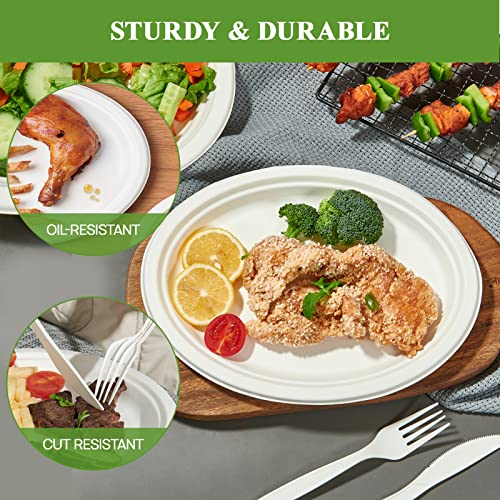 Vplus 12 Inch Compostable Oval Paper Plates 125 Pack White - Eco-Friendly Disposable Dinnerware