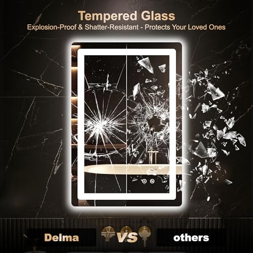 Delma 30x20 LED Bathroom Vanity Mirror with Lights, Anti-Fog, 3 Light Modes