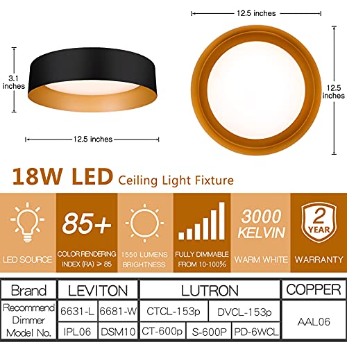 Bargeni Matte Black & Gold 12.5-Inch Flush Mount Ceiling Light - 1 Pack