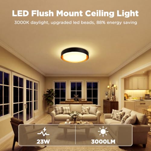 Matte Black 2-Pack Flush Mount LED Ceiling Lights - Dimmable 13in 3000K Daylight, Energy-Efficient Modern Lamp