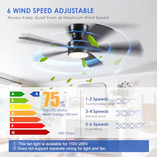 Black Ceiling Fans with Lights - 46" Flush Mount Fan Remote and 5